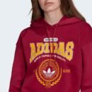 ADIDAS ANNIVERSARY HOODIE (GENDER NEUTRAL)